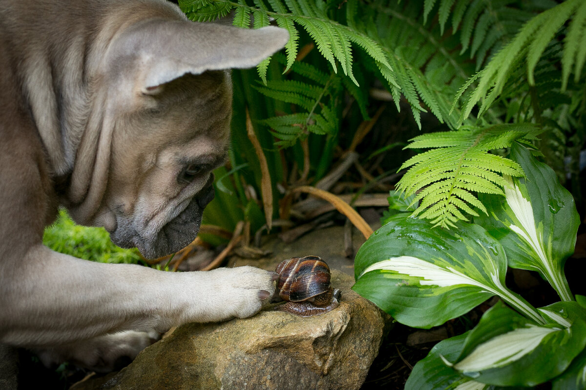 Автор фото Елена Якимова / Greenfingers