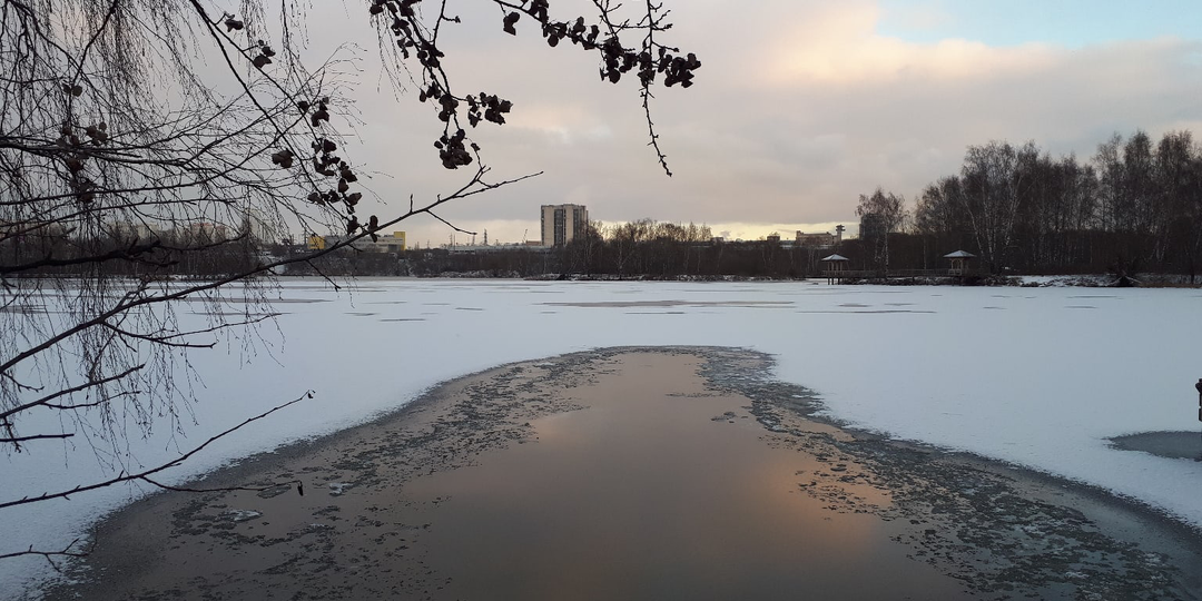 Москворецкий парк: где рождаются легенды зимнего плавания