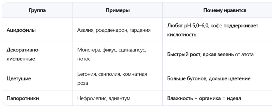 Обожают кофе: любители кислой, богатой почвы