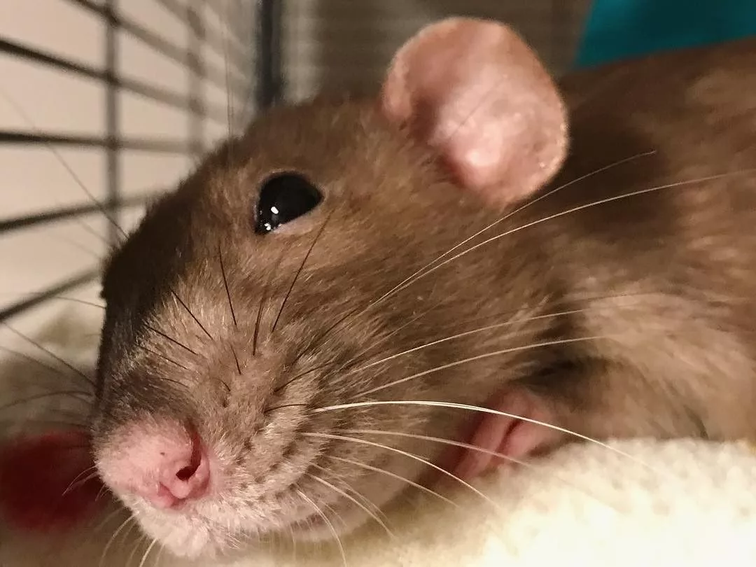 Изображение взято в интернет