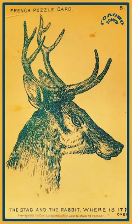 🐇 ЗАГАДКА‑ИСКАЛКА: где спрятался кролик?