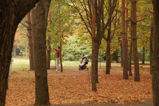    Фото: Михаил Ступин / Югополис