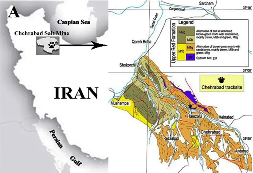   Manijeh Hadian Dehkordi et al. / Scientific Reports, 2025