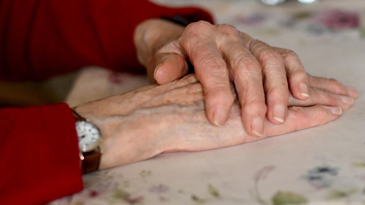    Фото: Britta Pedersen/globallookpress.com