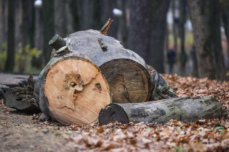   Сергей Булкин/NEWS.ru