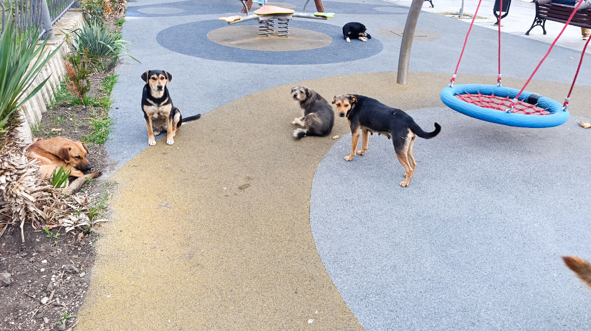 А чем мы-то виноваты?!