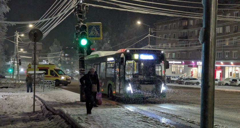    Фото: progorod43.ru