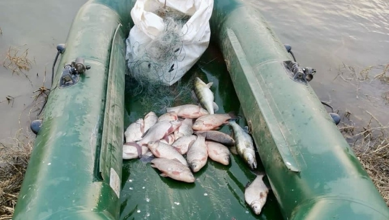      Фото: природоохранная прокуратура Ставрополья