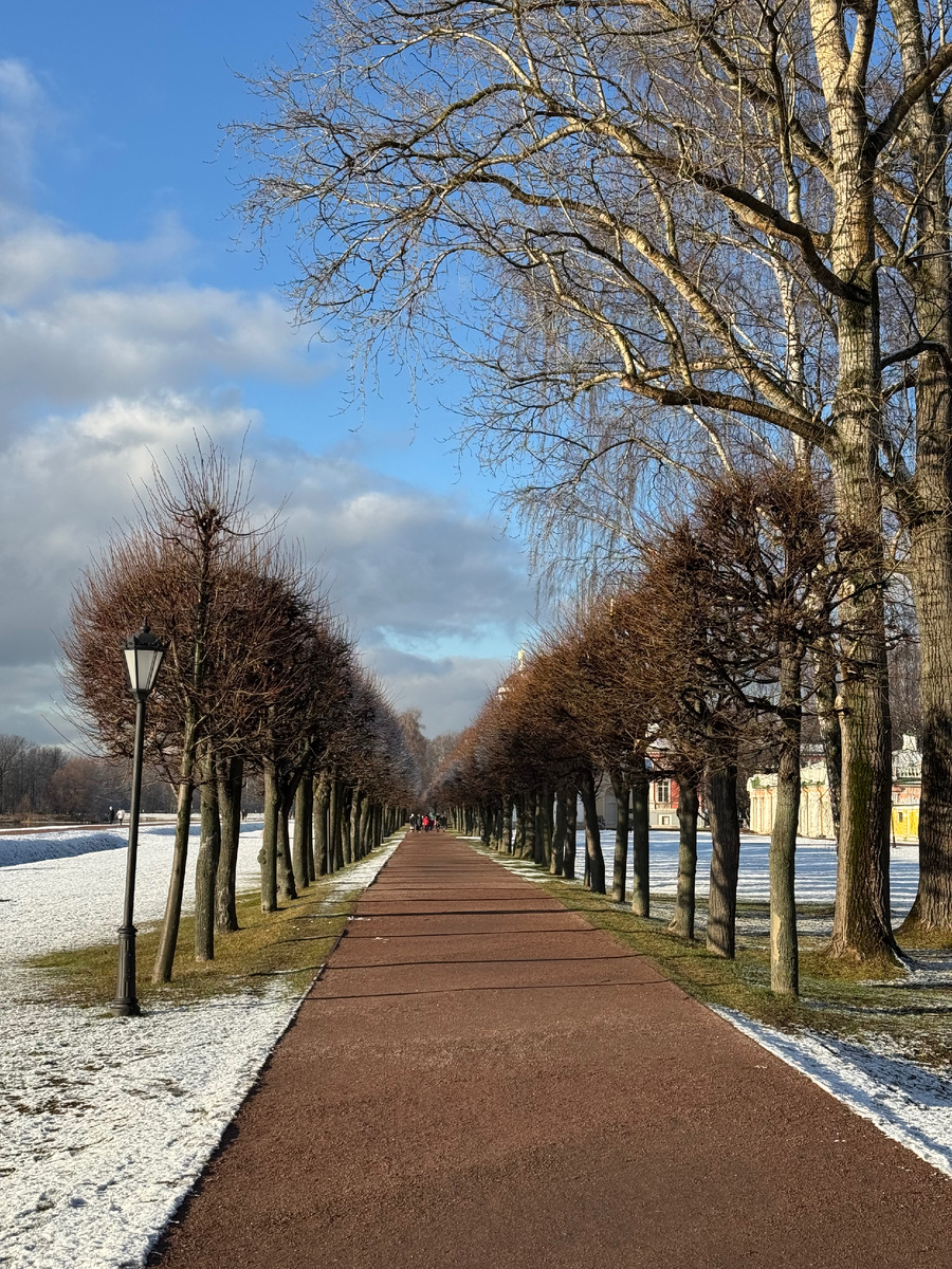 Парковая аллея усадьбы Кусково, фото автора