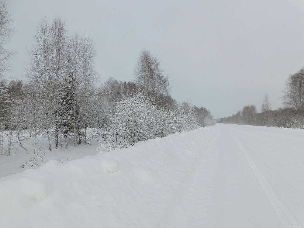    Фото Анны Зубаревой