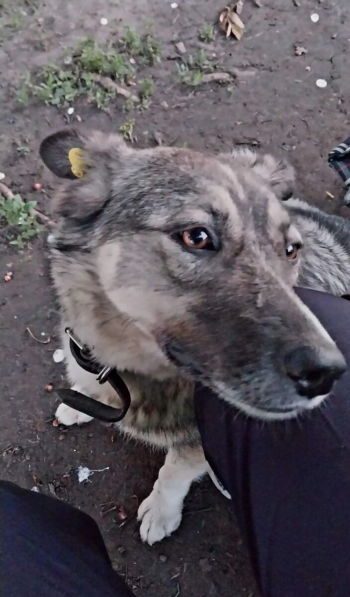 Фото из архива волонтёров г Орёл 