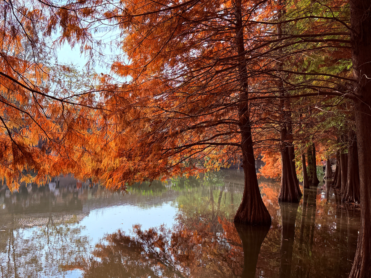 Как прекрасен этот мир 