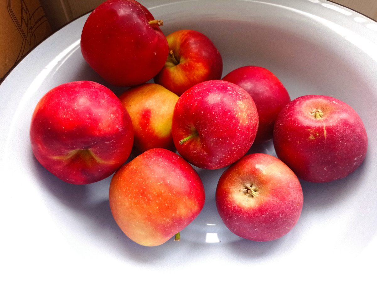 Отечественные яблоки, с независящей от курса рубля ценой