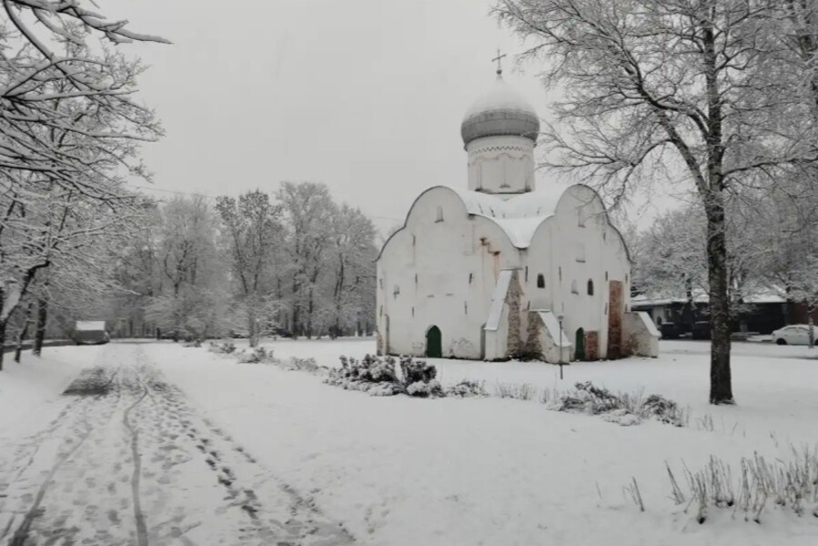    Фото: Елена Кузьмина, источник: novvedomosti.ru