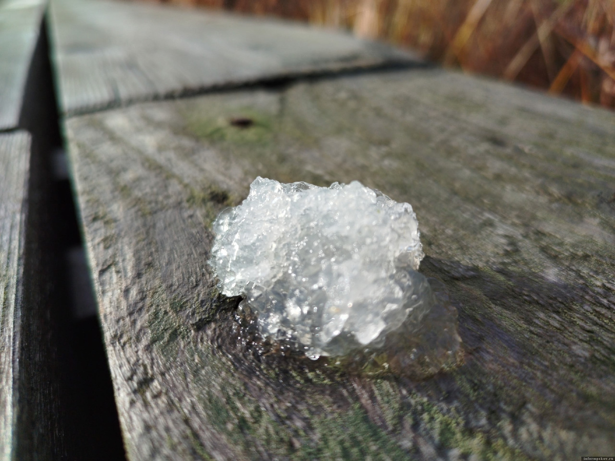 Фото: Полистовский заповедник