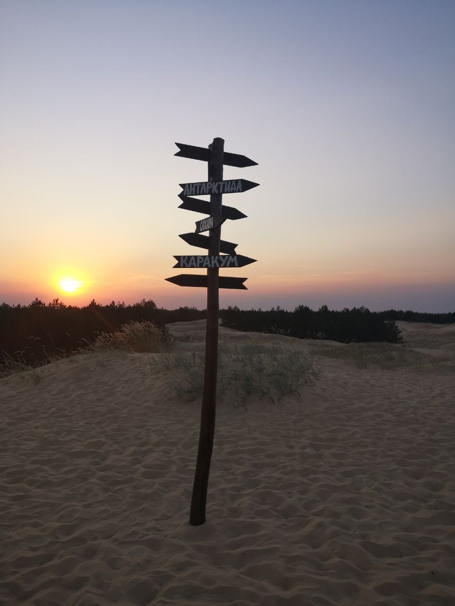 В самом центре Херсонщины на левобережье Днепра раскинулся самый большой песчаный массив в Европе - Алешковские пески. Фото автора 2021 г.