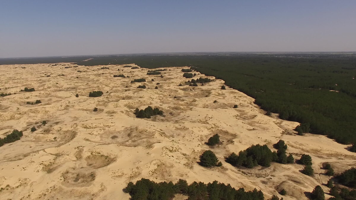 Огромную полупустыню со всех сторон окружают хвойные леса. Фото из открытых источников