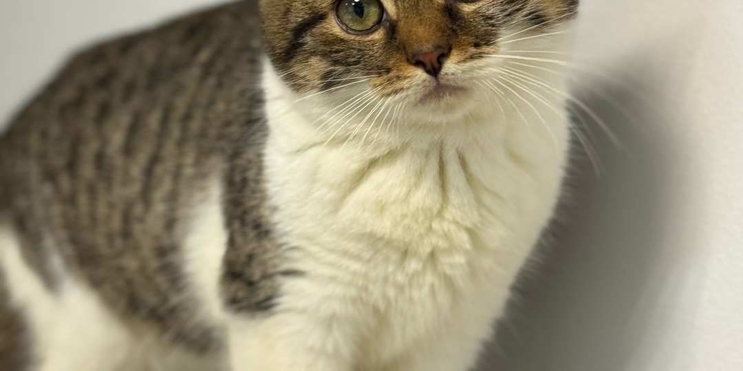 Сеголня открыли последний мешок корма