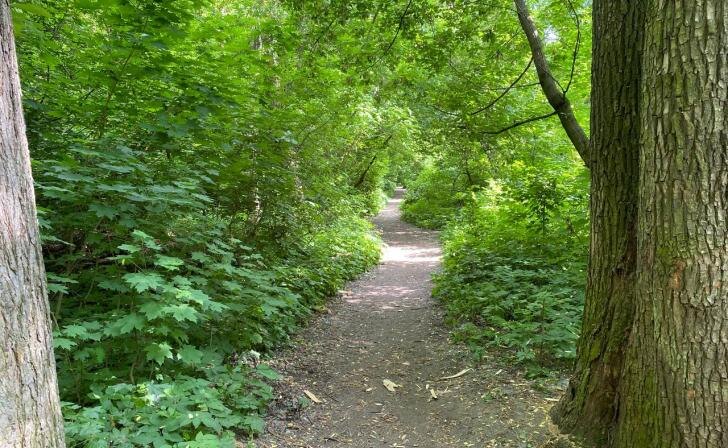    фото Курские известия