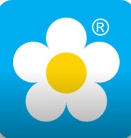 Логотип с ромашкой