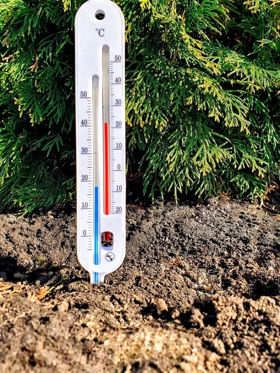 Источник https://avatars.mds.yandex.net/get-mpic/5268639/2a00000193a8a376628dd1eabc53a49ef111/orig