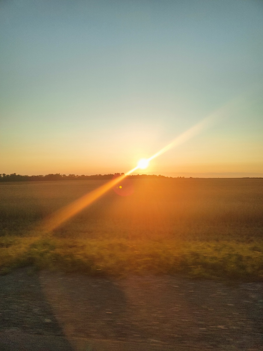 Утро в пути выглядит так. Дорога в Марий Эл из Самарской области. 