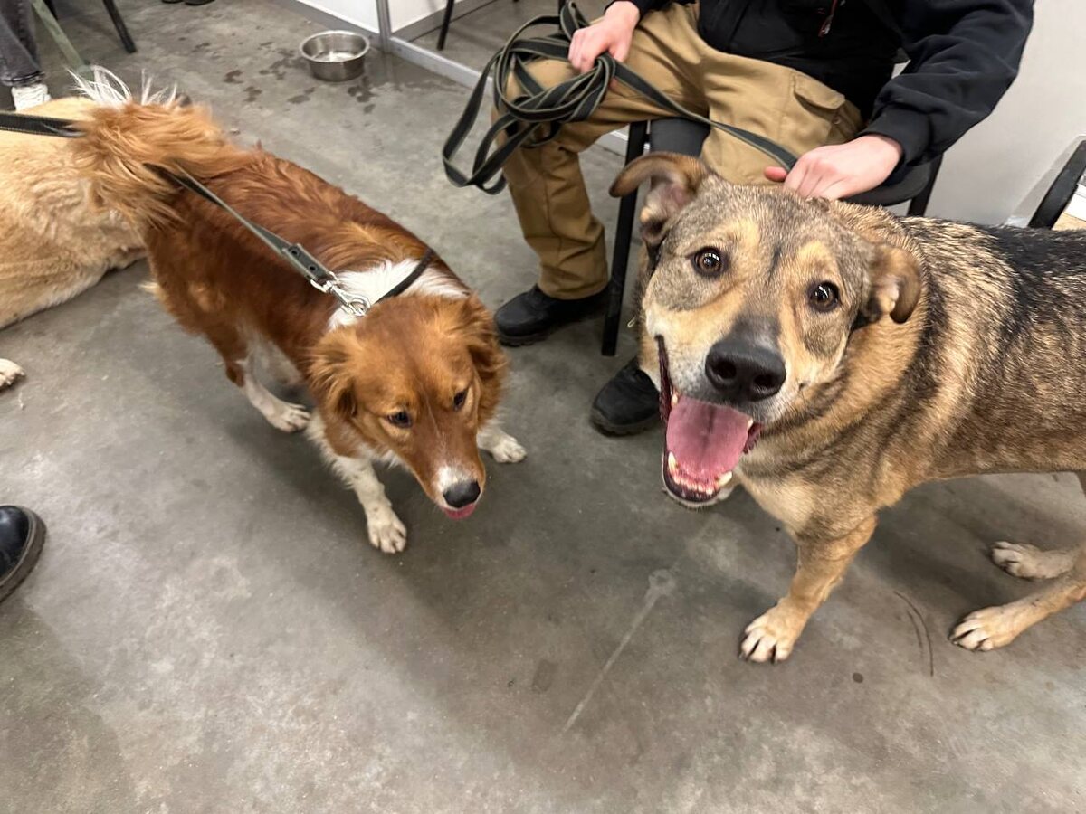    Автор фото: Яна Лаушкина