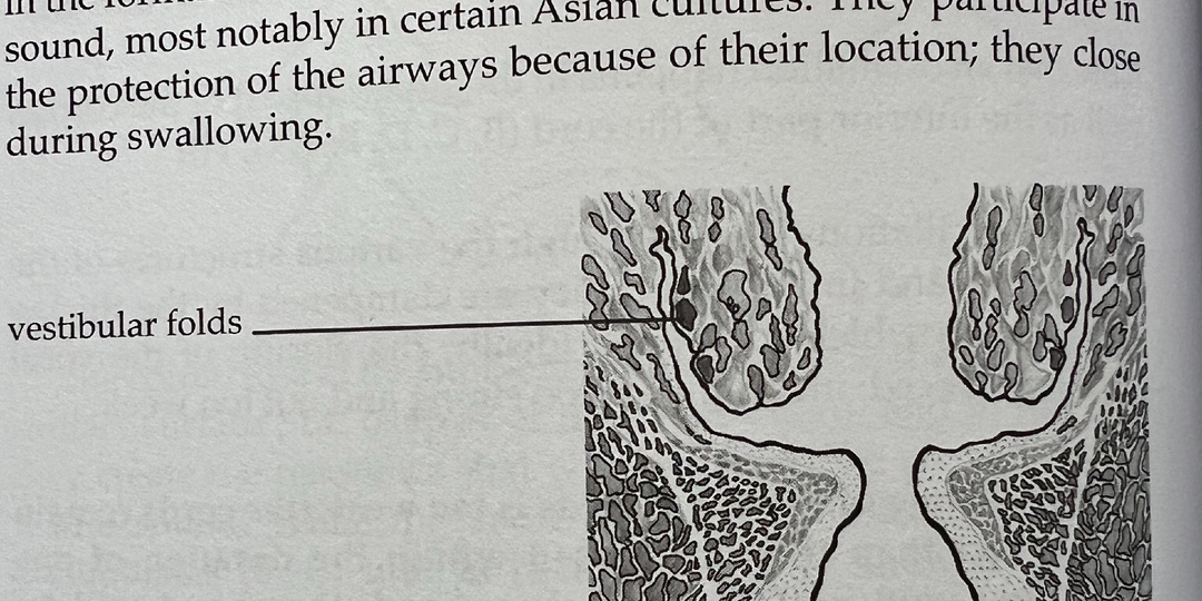 Зажимы в пении и как их убрать