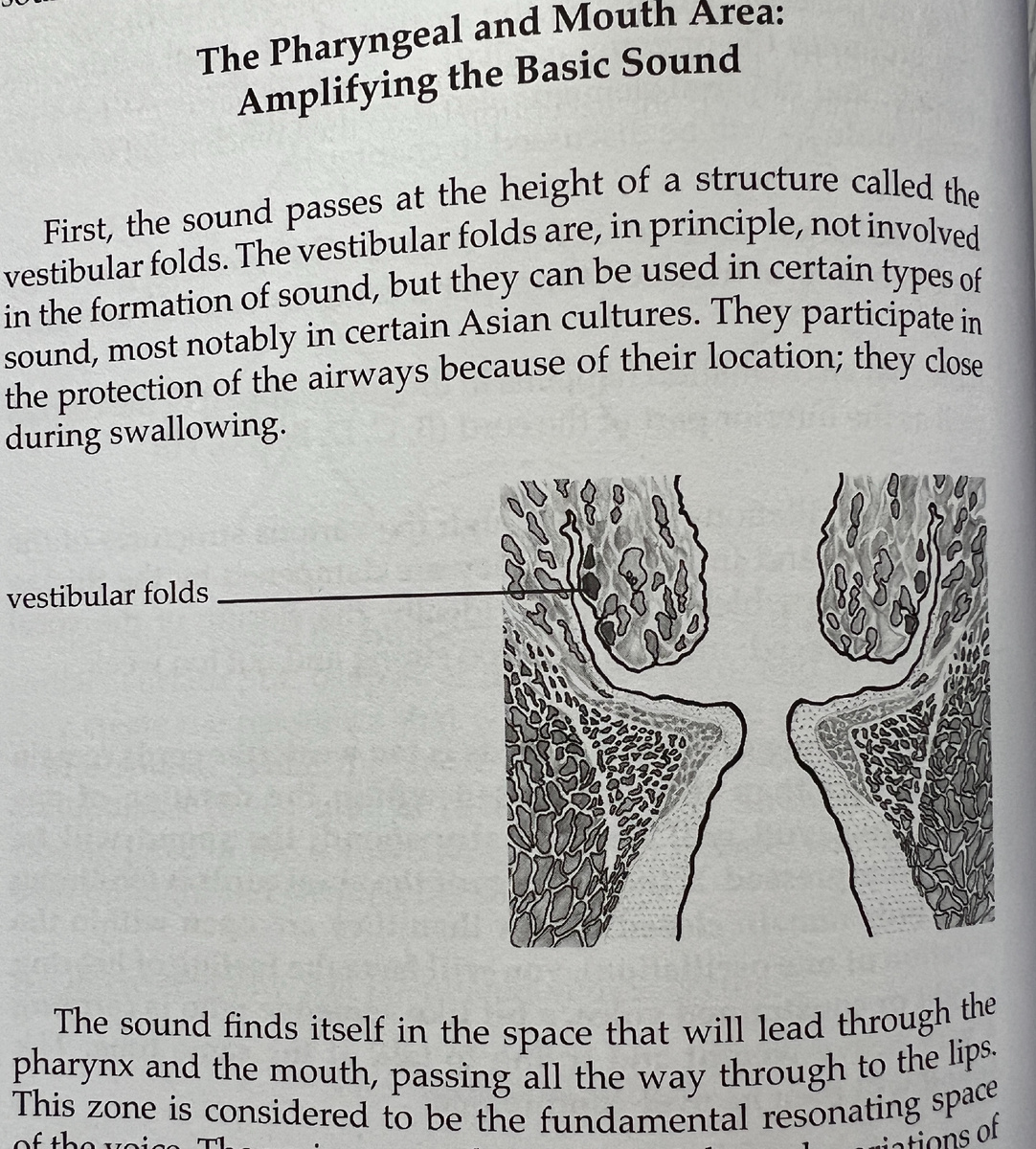 Вестибулярные складки