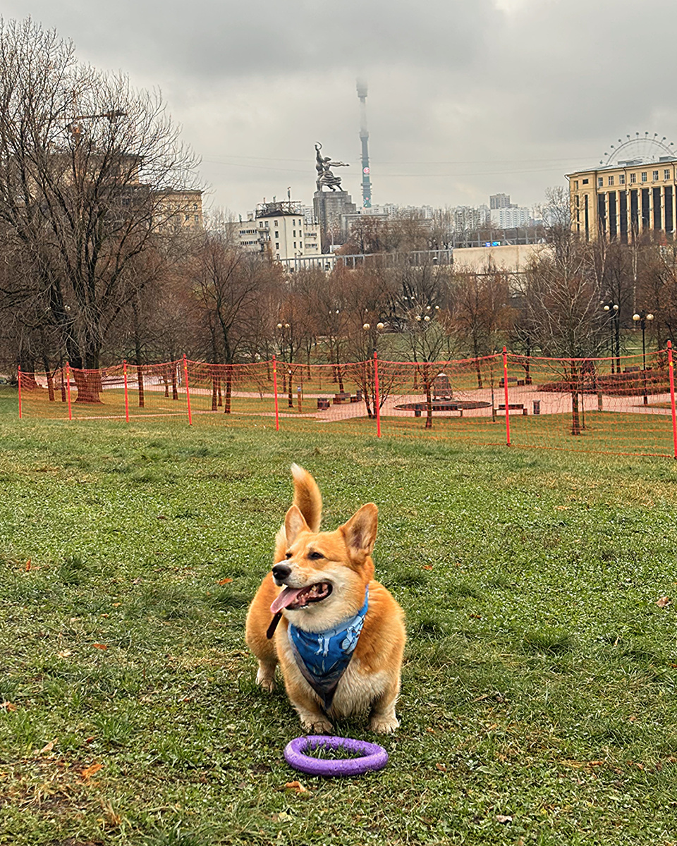 Вид на рабочего и колхозницу с холма в парке «Акведук»