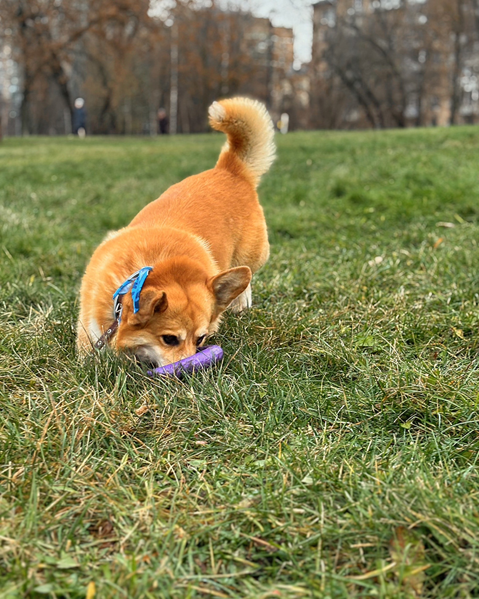 Игра прежде всего