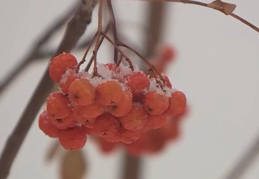     В Красноярске на неделе прогнозируют снег и 30-градусные морозы