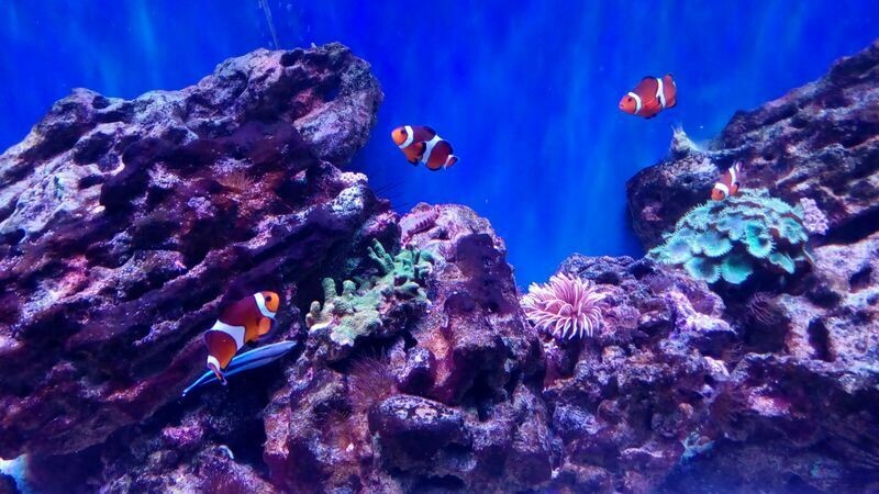 проспект Революции, 3к4, Анапа, Краснодарский край