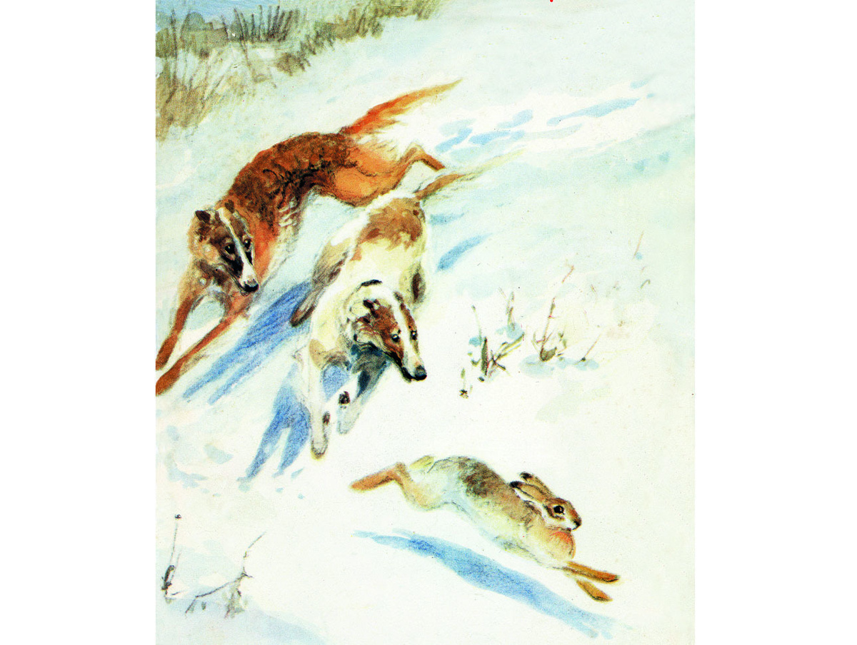     фото Алексей Шульгин