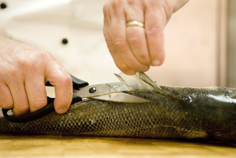 КАК РАЗДЕЛЫВАТЬ РЫБУ БЕЗ ПОТЕРЬ?