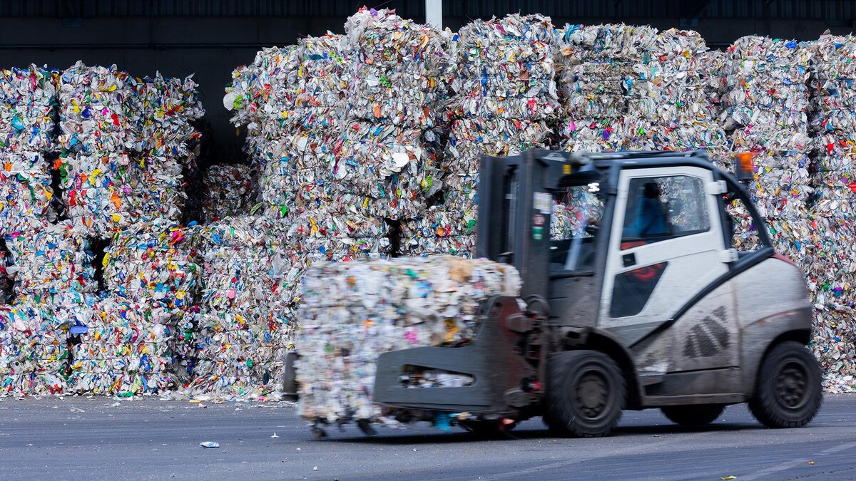    Фото: Rolf Vennenbernd/globallookpress.com