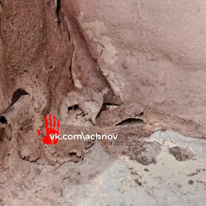 Состояние кузова