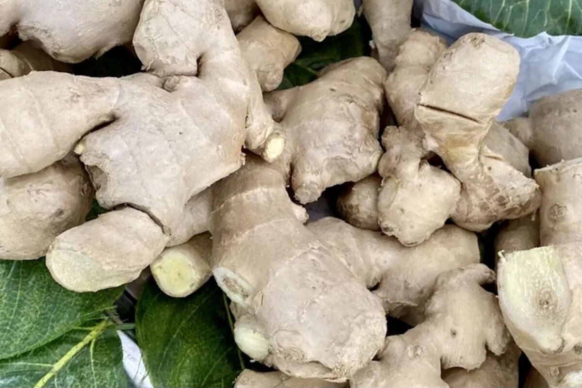 Фото: UfaTime.ru