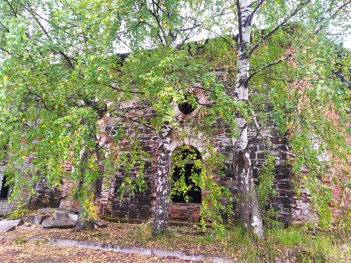    фото: © Столица на Онего