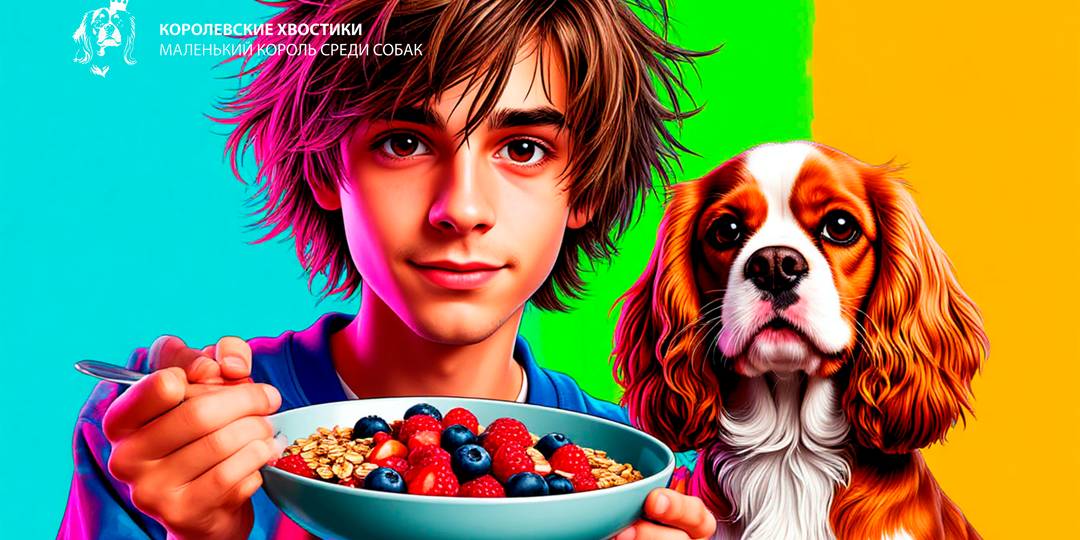 Быстрые ПП-завтраки для хозяина собаки — зарядитесь энергией с утра.