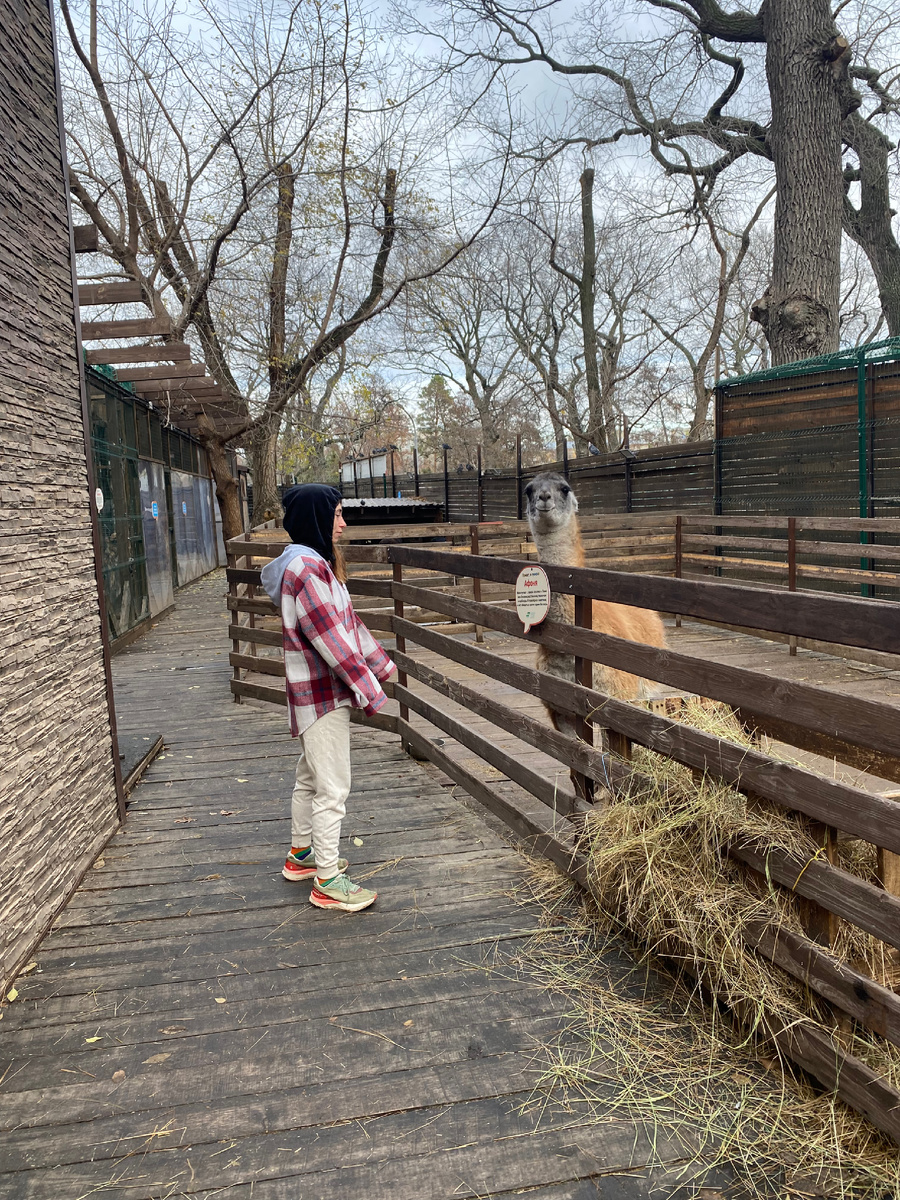 Ещё одна моя новая подруга 🤗