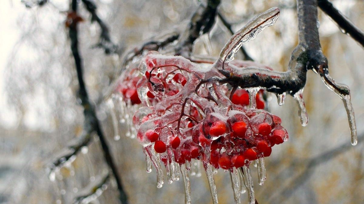 ледяной дождь