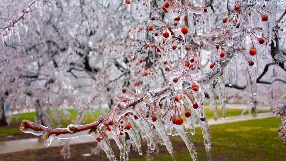 Во время ледяного дождя: что делать, а что — категорически нет