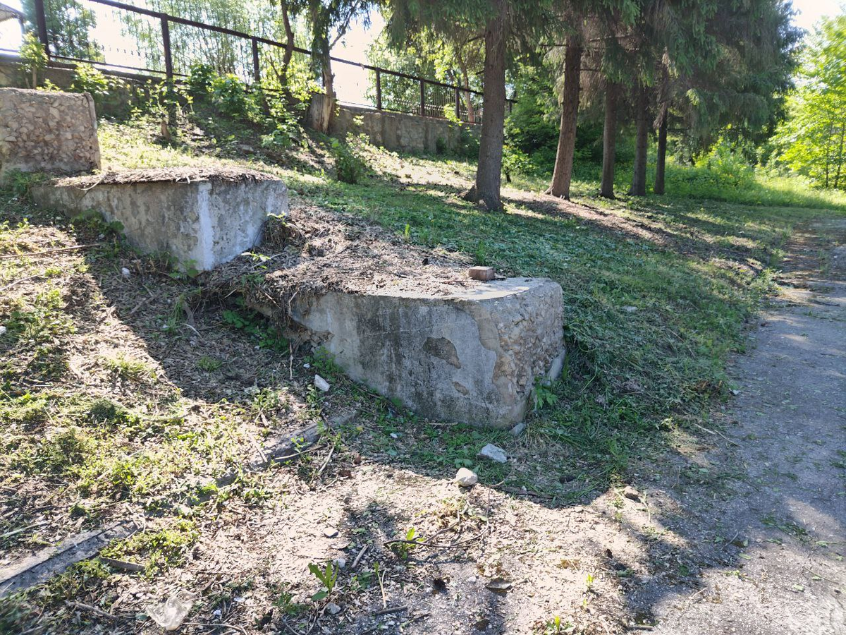 Фото автора.