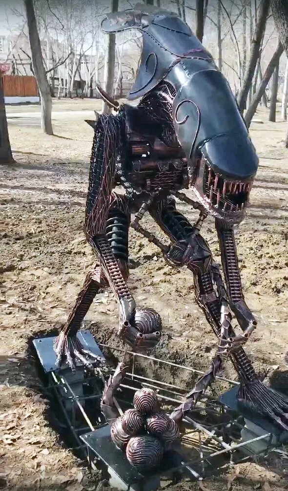                                             Фото: группа ВК "Доброе утро, Курган!".