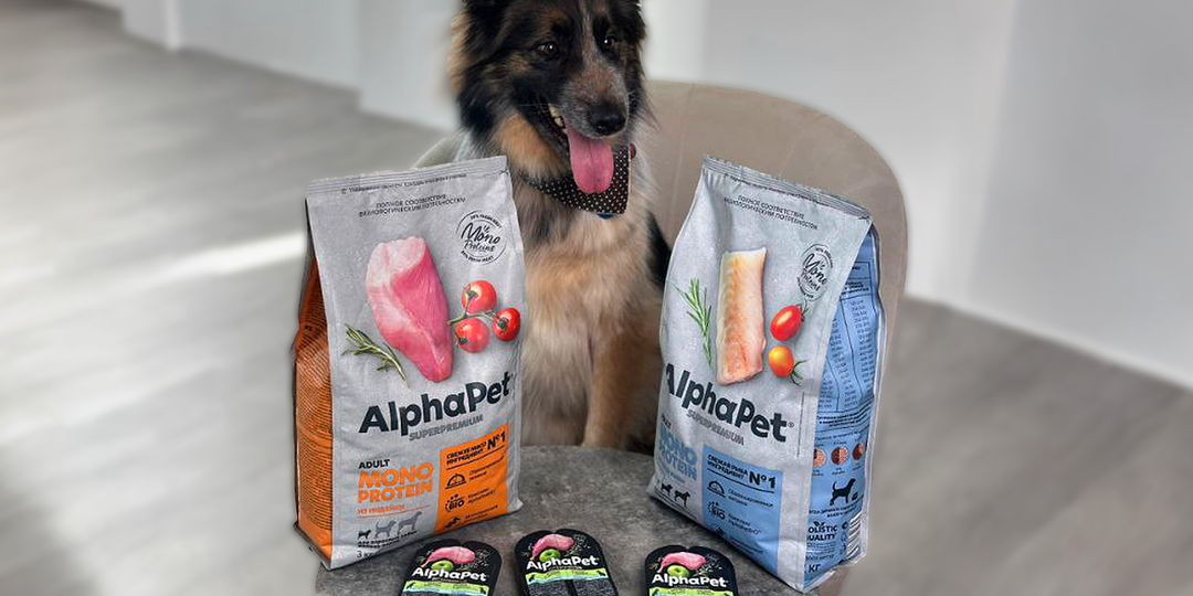 Почему нельзя гулять с собакой без поводка, даже с маленькой: Эксперты объяснили всё по пунктам