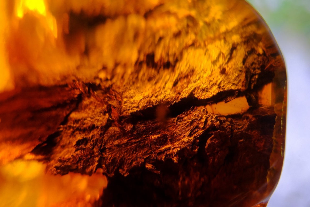 Балтийский янтарь