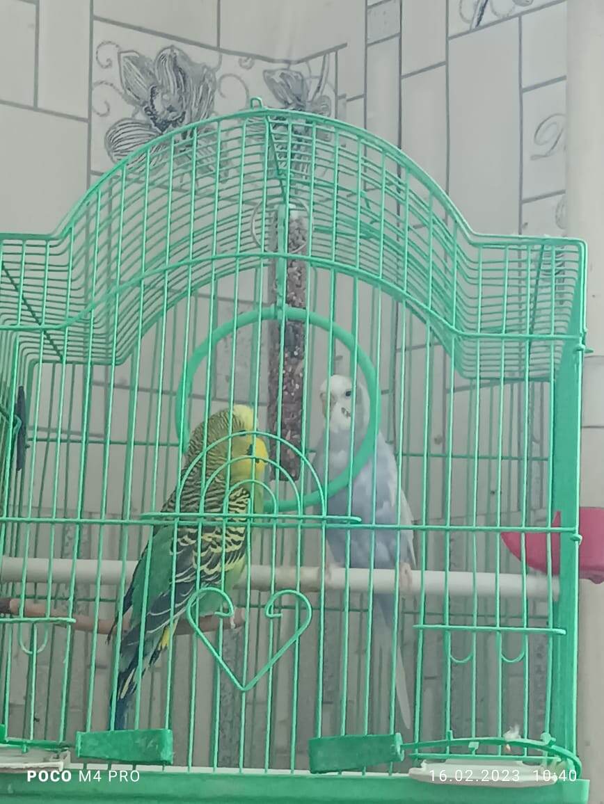 Сёма и Соня