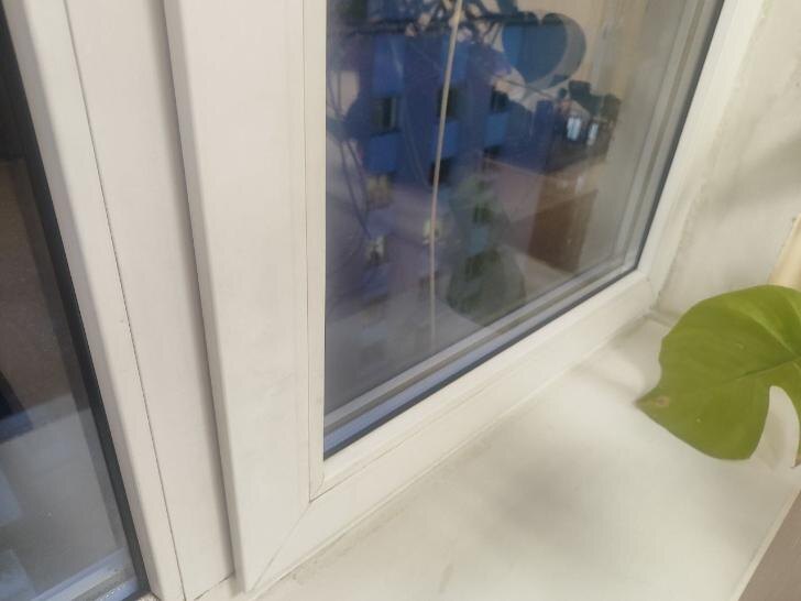    Фото: Пруфы