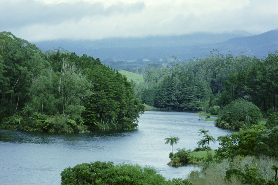    Werner Forman Archive/Global Look Press